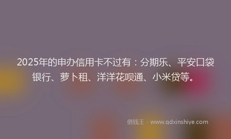 2025年的申办信用卡不过有：分期乐、平安口袋银行、萝卜租、洋洋花呗通、小米贷等。
