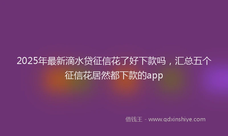 2025年最新滴水贷征信花了好下款吗，汇总五个征信花居然都下款的app