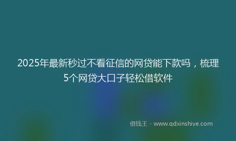 2025年最新秒过不看征信的网贷能下款吗，梳理5个网贷大口子轻松借软件