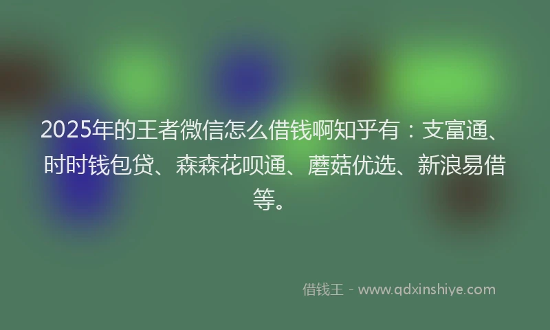 2025年的王者微信怎么借钱啊知乎有：支富通、时时钱包贷、森森花呗通、蘑菇优选、新浪易借等。