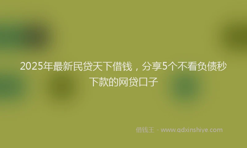 2025年最新民贷天下借钱，分享5个不看负债秒下款的网贷口子