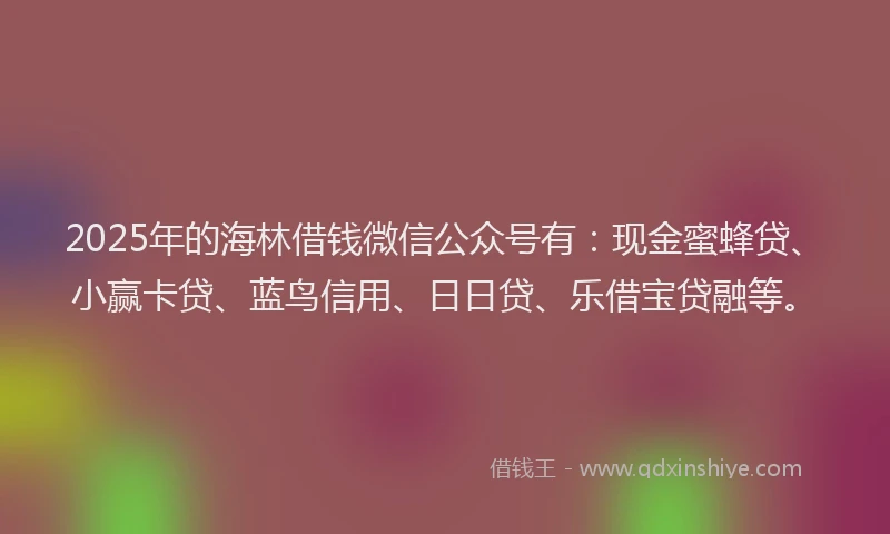 2025年的海林借钱微信公众号有：现金蜜蜂贷、小赢卡贷、蓝鸟信用、日日贷、乐借宝贷融等。