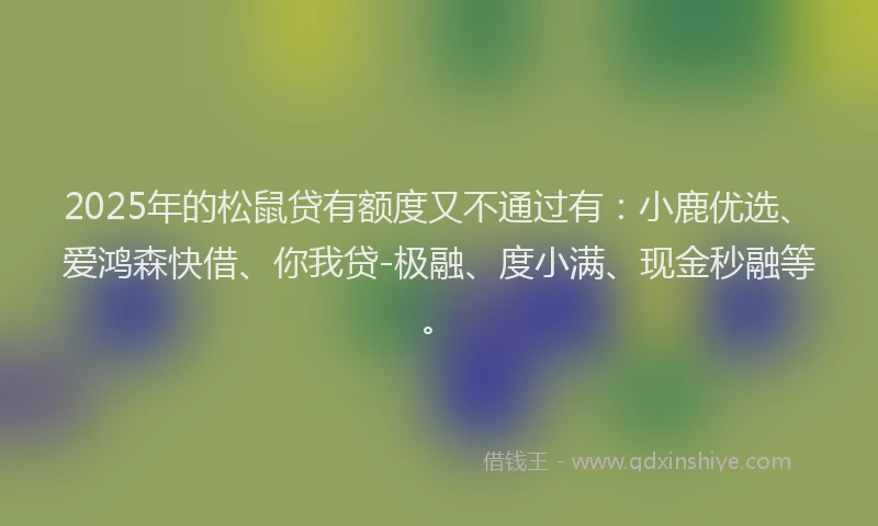 2025年的松鼠贷有额度又不通过有：小鹿优选、爱鸿森快借、你我贷-极融、度小满、现金秒融等。