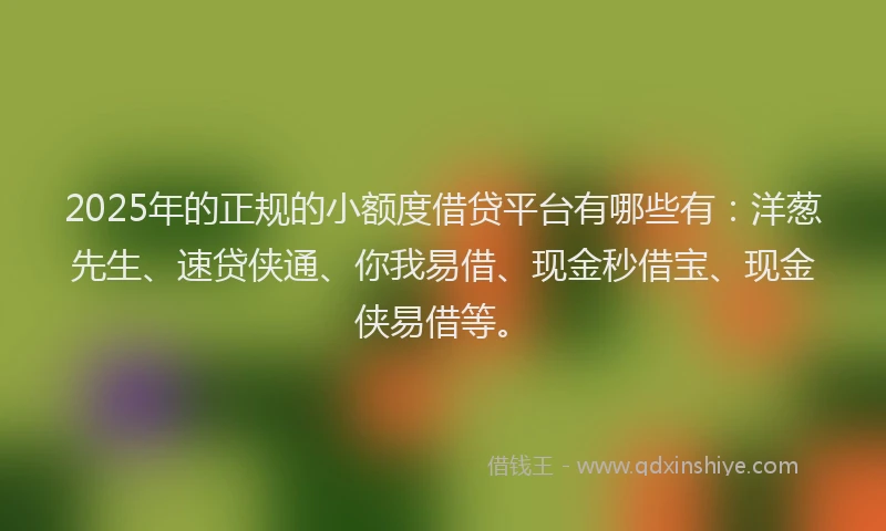 2025年的正规的小额度借贷平台有哪些有：洋葱先生、速贷侠通、你我易借、现金秒借宝、现金侠易借等。