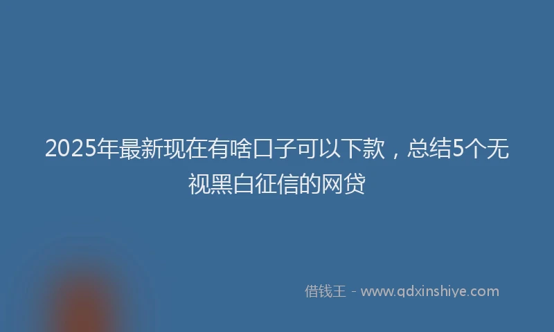 2025年最新现在有啥口子可以下款，总结5个无视黑白征信的网贷