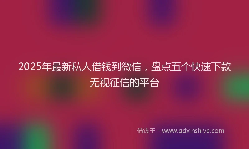 2025年最新私人借钱到微信，盘点五个快速下款无视征信的平台