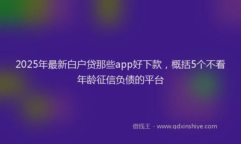 2025年最新白户贷那些app好下款，概括5个不看年龄征信负债的平台