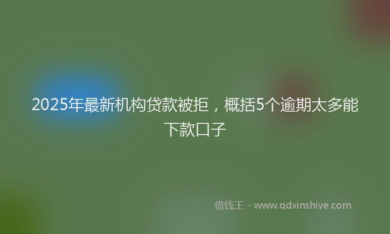 2025年最新机构贷款被拒，概括5个逾期太多能下款口子