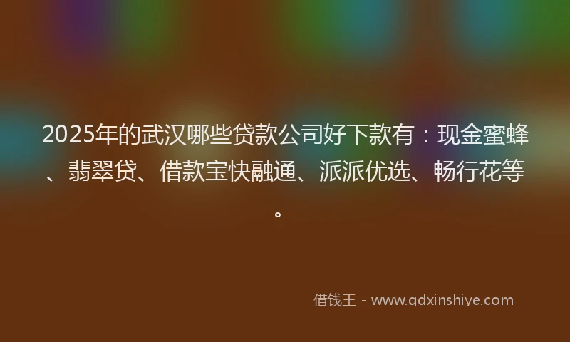 2025年的武汉哪些贷款公司好下款有：现金蜜蜂、翡翠贷、借款宝快融通、派派优选、畅行花等。