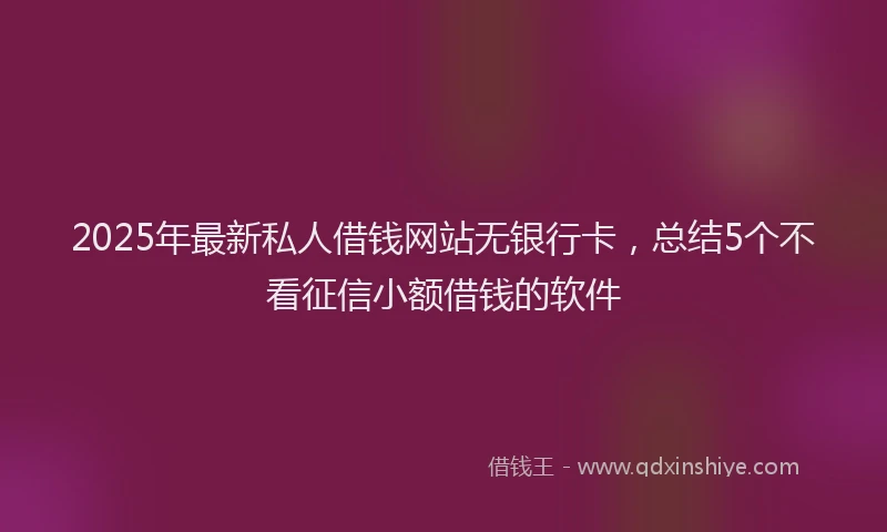 2025年最新私人借钱网站无银行卡，总结5个不看征信小额借钱的软件