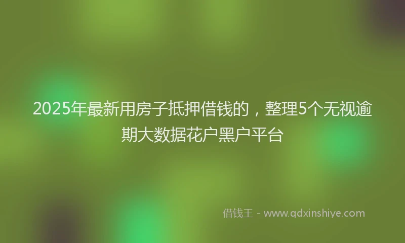 2025年最新用房子抵押借钱的，整理5个无视逾期大数据花户黑户平台