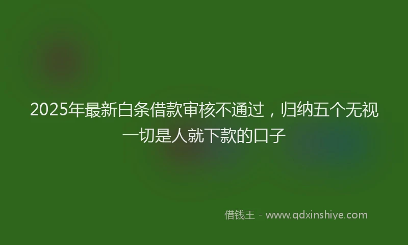 2025年最新白条借款审核不通过，归纳五个无视一切是人就下款的口子