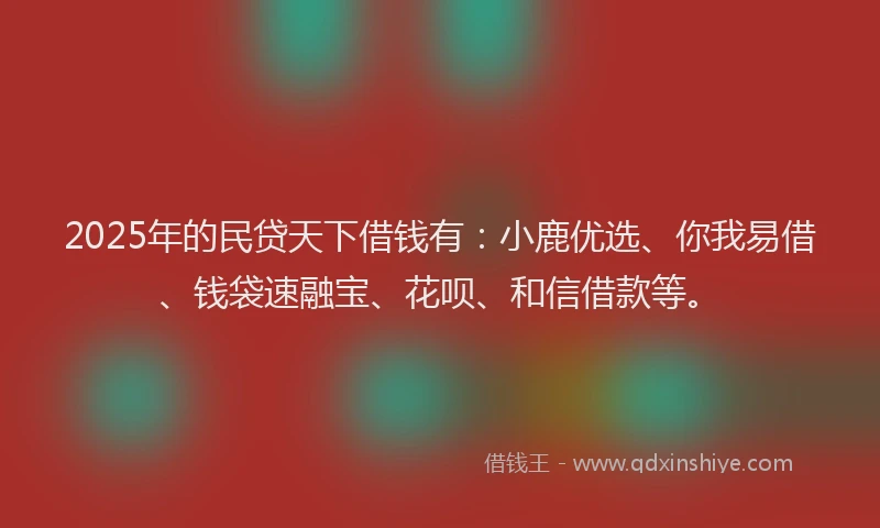 2025年的民贷天下借钱有：小鹿优选、你我易借、钱袋速融宝、花呗、和信借款等。