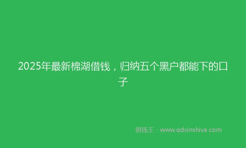 2025年最新棉湖借钱，归纳五个黑户都能下的口子