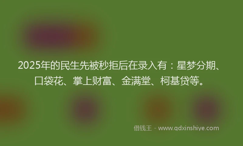2025年的民生先被秒拒后在录入有：星梦分期、口袋花、掌上财富、金满堂、柯基贷等。