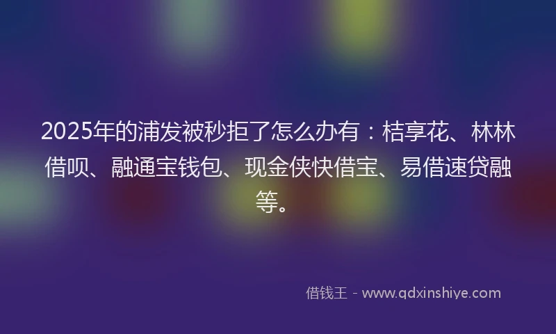 2025年的浦发被秒拒了怎么办有：桔享花、林林借呗、融通宝钱包、现金侠快借宝、易借速贷融等。