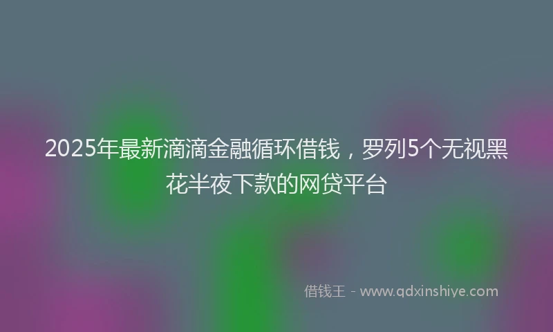 2025年最新滴滴金融循环借钱，罗列5个无视黑花半夜下款的网贷平台