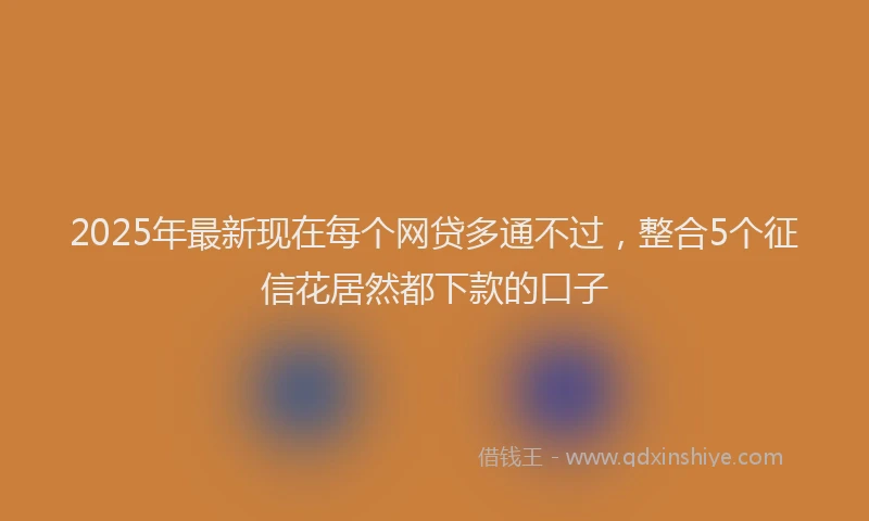 2025年最新现在每个网贷多通不过，整合5个征信花居然都下款的口子