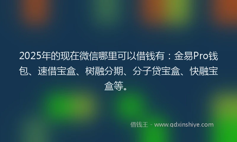 2025年的现在微信哪里可以借钱有：金易Pro钱包、速借宝盒、树融分期、分子贷宝盒、快融宝盒等。