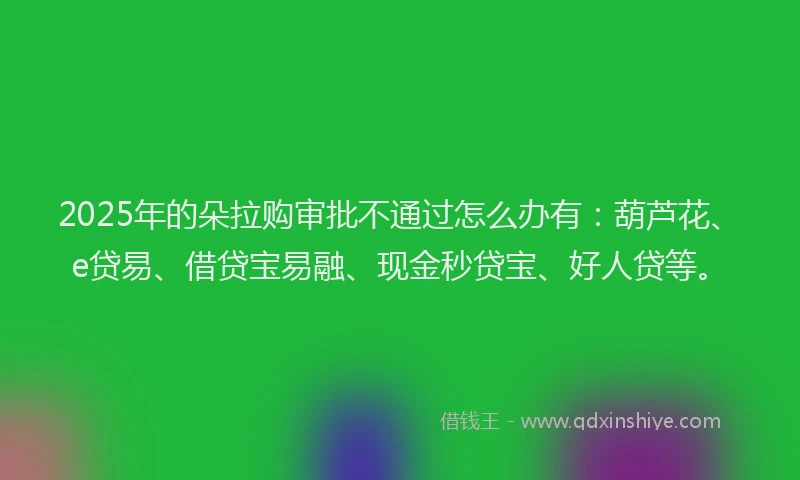 2025年的朵拉购审批不通过怎么办有：葫芦花、e贷易、借贷宝易融、现金秒贷宝、好人贷等。