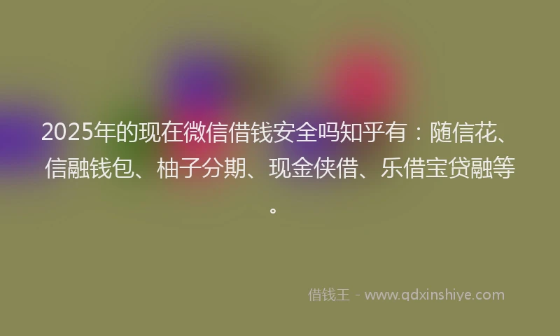 2025年的现在微信借钱安全吗知乎有：随信花、信融钱包、柚子分期、现金侠借、乐借宝贷融等。