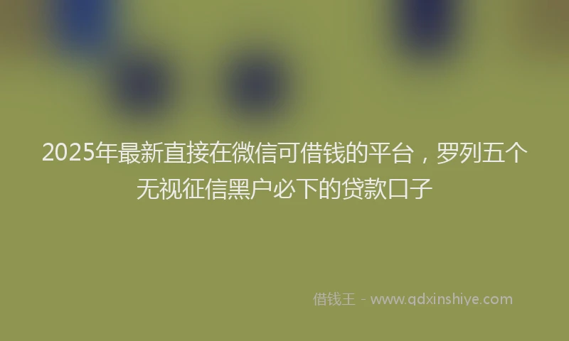 2025年最新直接在微信可借钱的平台，罗列五个无视征信黑户必下的贷款口子