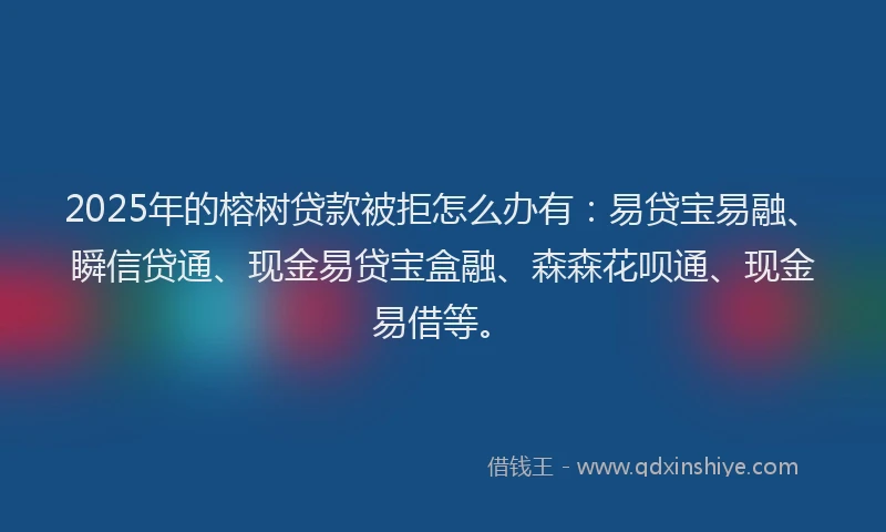 2025年的榕树贷款被拒怎么办有：易贷宝易融、瞬信贷通、现金易贷宝盒融、森森花呗通、现金易借等。