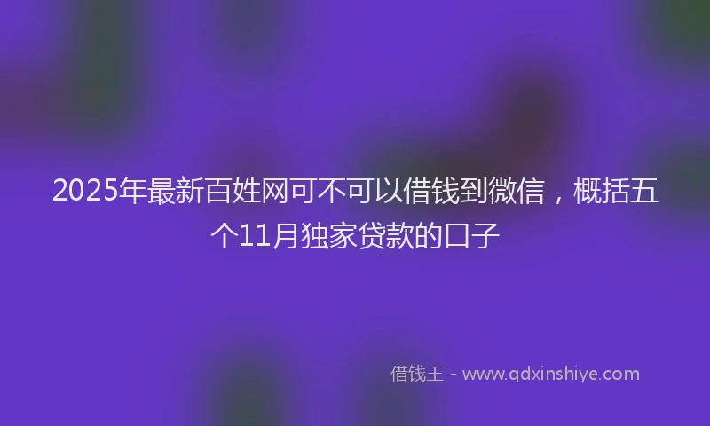 2025年最新百姓网可不可以借钱到微信，概括五个11月独家贷款的口子