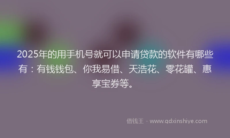 2025年的用手机号就可以申请贷款的软件有哪些有：有钱钱包、你我易借、天浩花、零花罐、惠享宝券等。