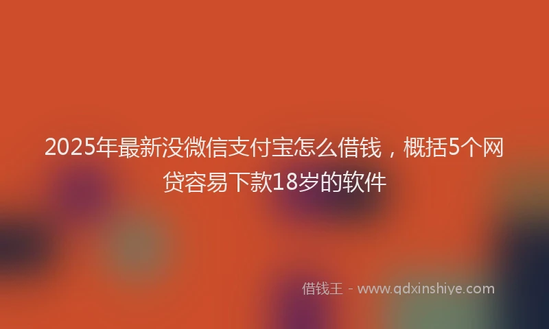 2025年最新没微信支付宝怎么借钱，概括5个网贷容易下款18岁的软件