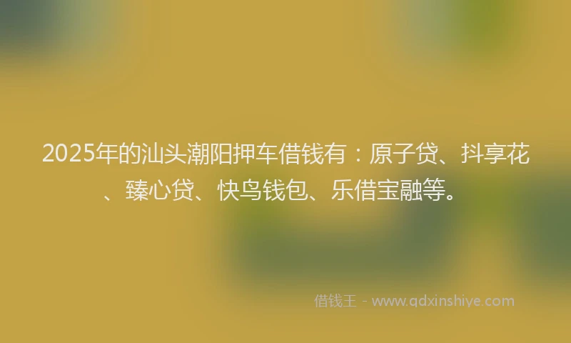 2025年的汕头潮阳押车借钱有：原子贷、抖享花、臻心贷、快鸟钱包、乐借宝融等。