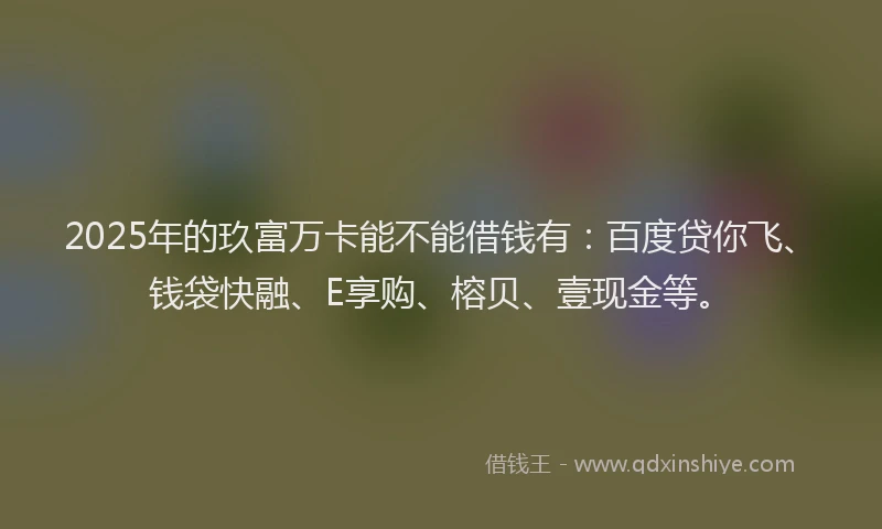 2025年的玖富万卡能不能借钱有：百度贷你飞、钱袋快融、E享购、榕贝、壹现金等。