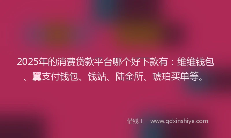 2025年的消费贷款平台哪个好下款有：维维钱包、翼支付钱包、钱站、陆金所、琥珀买单等。
