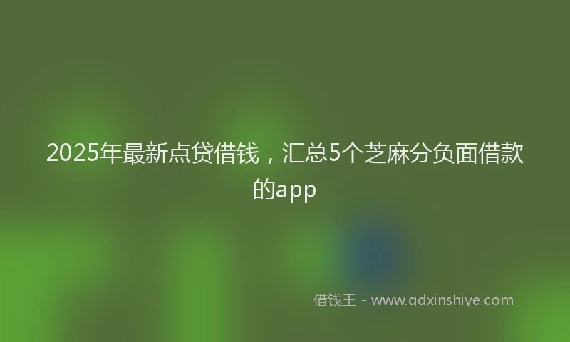 2025年最新点贷借钱，汇总5个芝麻分负面借款的app