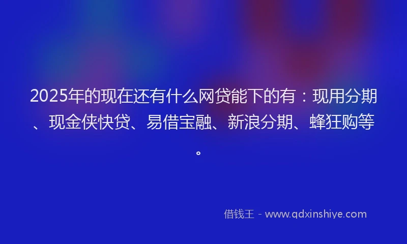 2025年的现在还有什么网贷能下的有：现用分期、现金侠快贷、易借宝融、新浪分期、蜂狂购等。