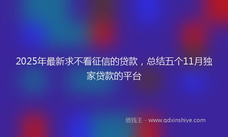 2025年最新求不看征信的贷款，总结五个11月独家贷款的平台