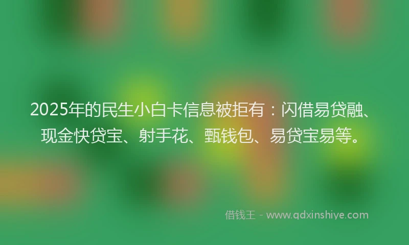 2025年的民生小白卡信息被拒有：闪借易贷融、现金快贷宝、射手花、甄钱包、易贷宝易等。