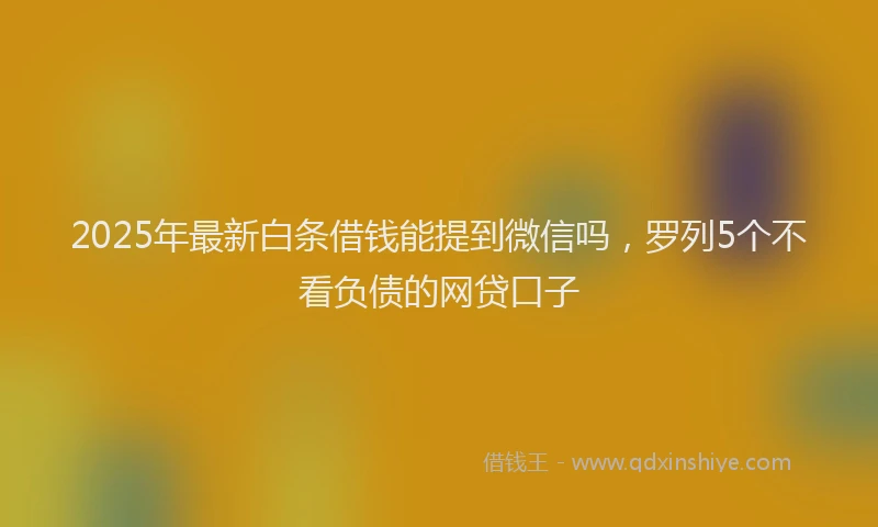 2025年最新白条借钱能提到微信吗，罗列5个不看负债的网贷口子