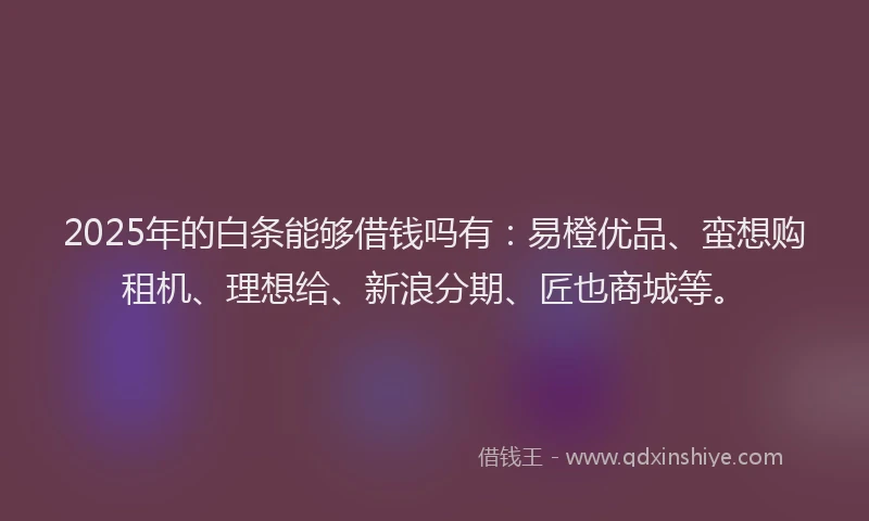 2025年的白条能够借钱吗有：易橙优品、蛮想购租机、理想给、新浪分期、匠也商城等。