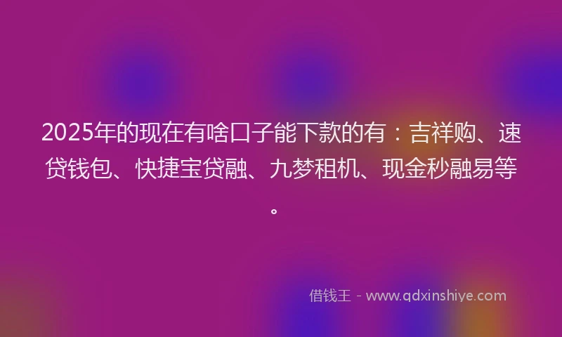 2025年的现在有啥口子能下款的有：吉祥购、速贷钱包、快捷宝贷融、九梦租机、现金秒融易等。