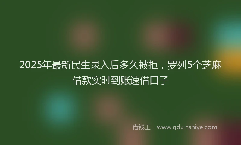 2025年最新民生录入后多久被拒,罗列5个芝麻借款实时到账速借口子