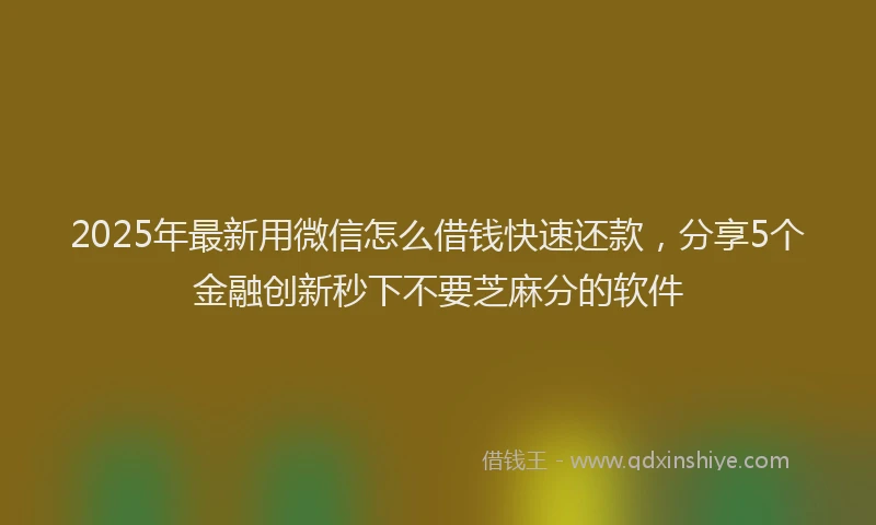2025年最新用微信怎么借钱快速还款，分享5个金融创新秒下不要芝麻分的软件