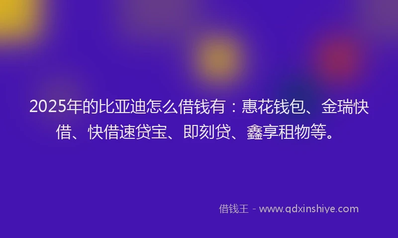 2025年的比亚迪怎么借钱有：惠花钱包、金瑞快借、快借速贷宝、即刻贷、鑫享租物等。