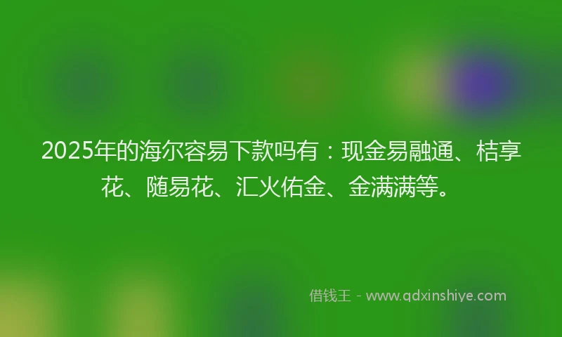 2025年的海尔容易下款吗有：现金易融通、桔享花、随易花、汇火佑金、金满满等。