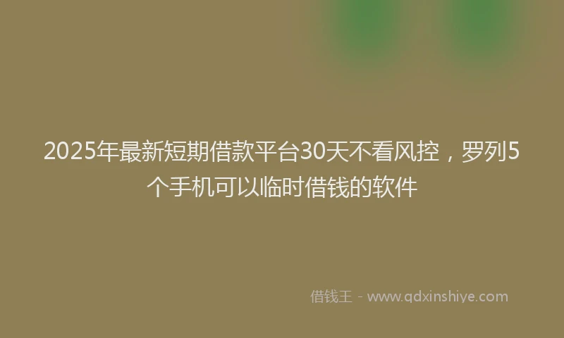 2025年最新短期借款平台30天不看风控，罗列5个手机可以临时借钱的软件