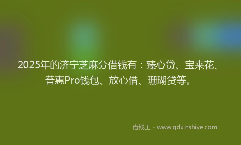 2025年的济宁芝麻分借钱有：臻心贷、宝来花、普惠Pro钱包、放心借、珊瑚贷等。