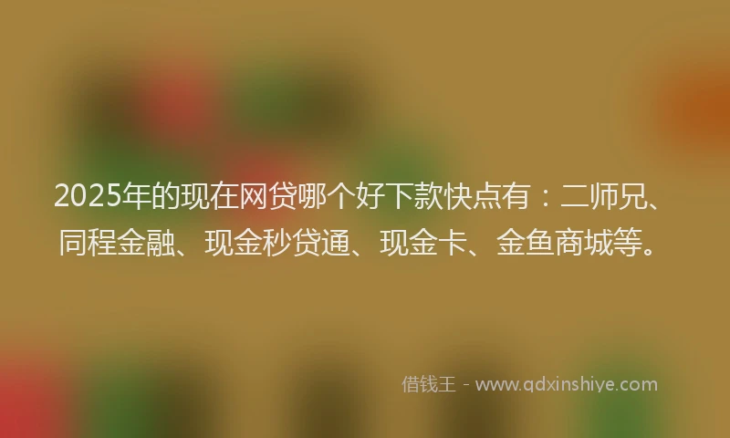 2025年的现在网贷哪个好下款快点有：二师兄、同程金融、现金秒贷通、现金卡、金鱼商城等。