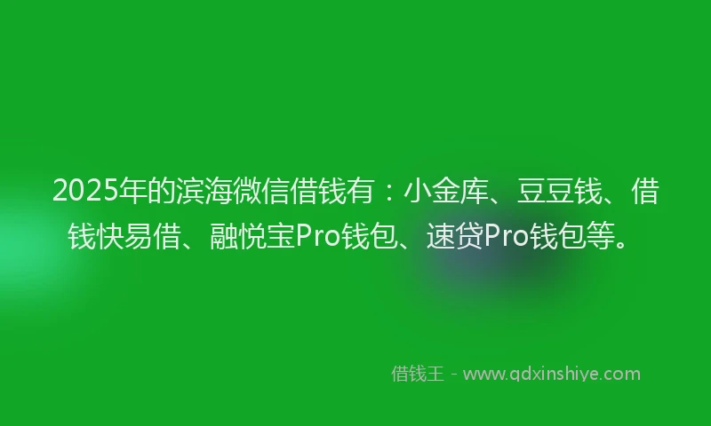 2025年的滨海微信借钱有：小金库、豆豆钱、借钱快易借、融悦宝Pro钱包、速贷Pro钱包等。