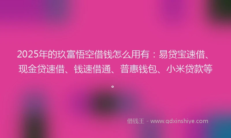 2025年的玖富悟空借钱怎么用有：易贷宝速借、现金贷速借、钱速借通、普惠钱包、小米贷款等。
