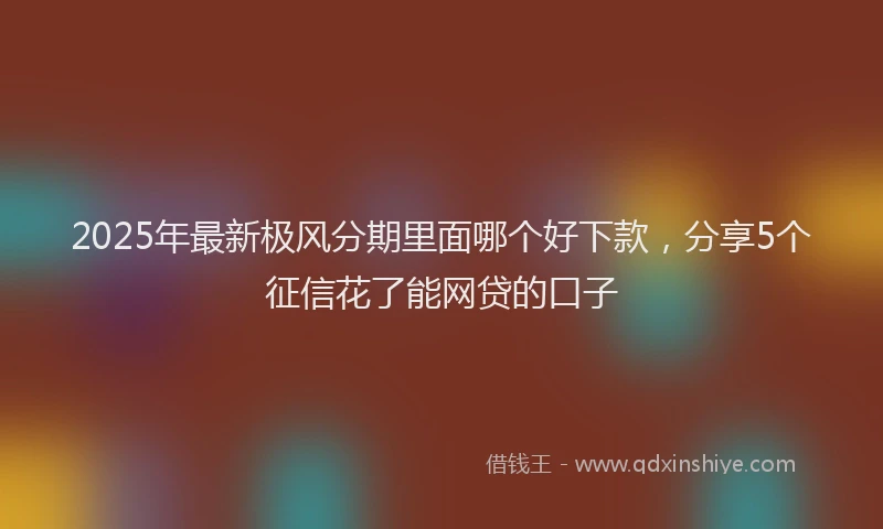 2025年最新极风分期里面哪个好下款，分享5个征信花了能网贷的口子